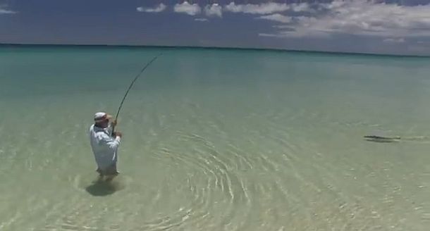 VIDEO: Marlin & longtails on Fraser Island flats